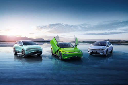 碧桂園文商旅碧虎杯3V3籃球賽跨界落地碧家國際社區(qū) 創(chuàng)新融合體育運動與汽車消費